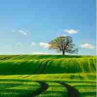 最​新​排​名‍策‌略‍软‌件‍